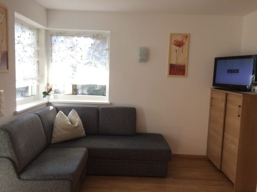 Gemütlicher Wohnbereich mit grauem Sofa, Fernseher und Fensterblick auf die Natur.